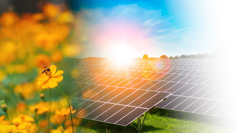 Energía Solar PPA: Transformando Pequeños Negocios y Cuidando el Medio Ambiente
